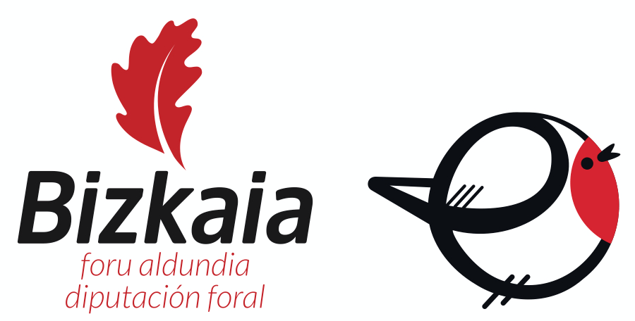 BIZKAIKO FORU ALDUNDIA